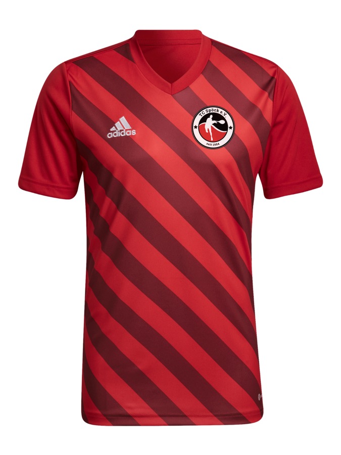 adidas Entrada 22 GFX Trikot