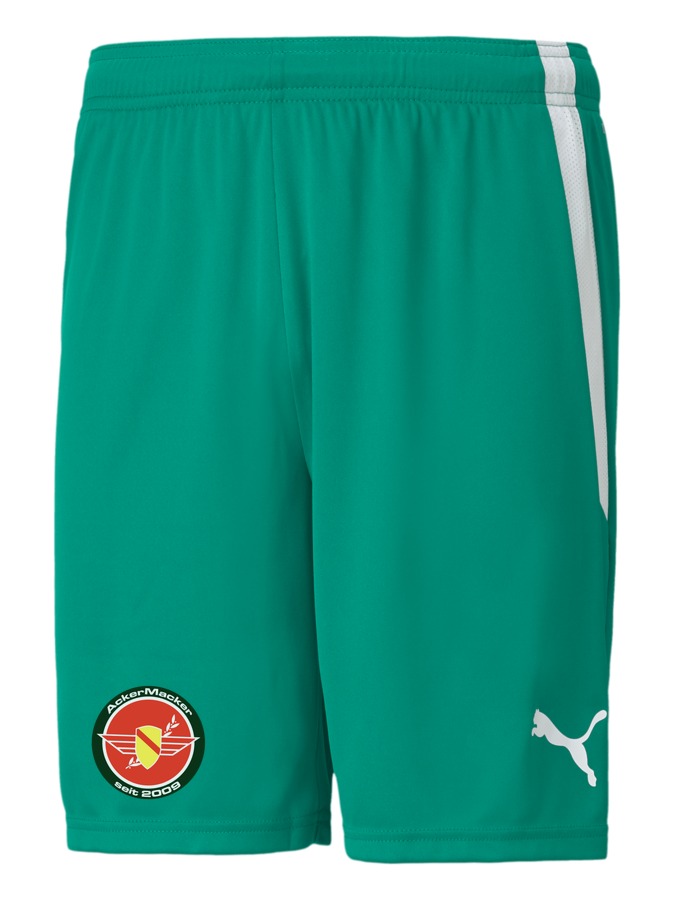 PUMA teamLIGA Shorts