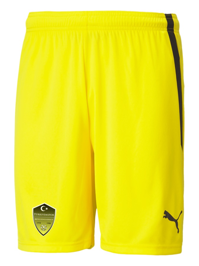 PUMA teamLIGA Shorts