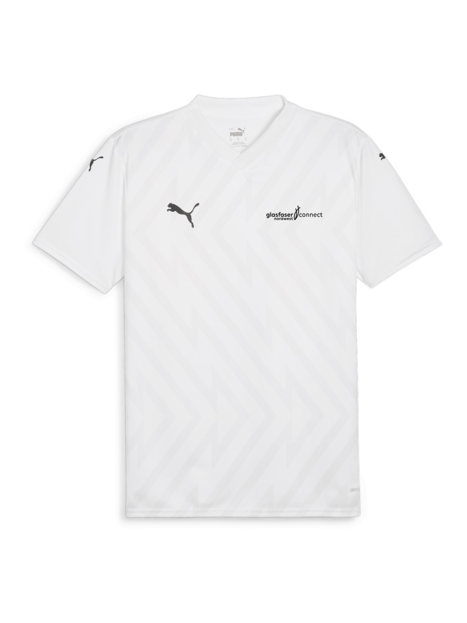PUMA teamGLORY Trikot