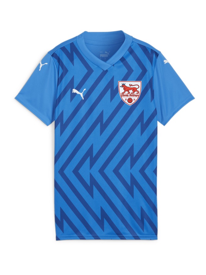 PUMA teamGLORY Trikot Damen