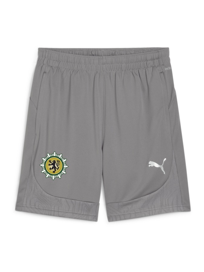 PUMA teamFINAL Training Shorts
