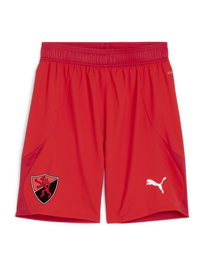 PUMA teamFINAL Shorts