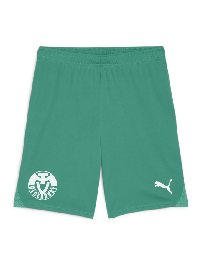 PUMA teamGOAL Shorts