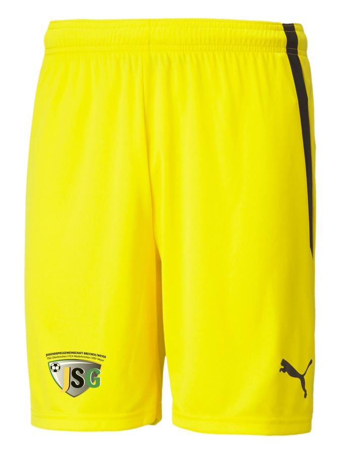 PUMA teamLIGA Shorts