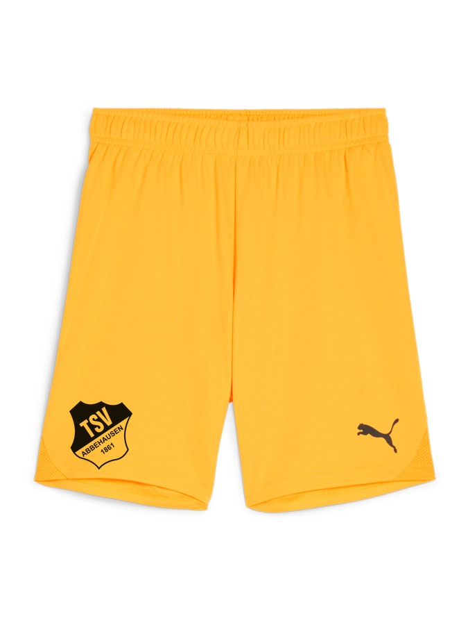 PUMA teamGOAL Shorts