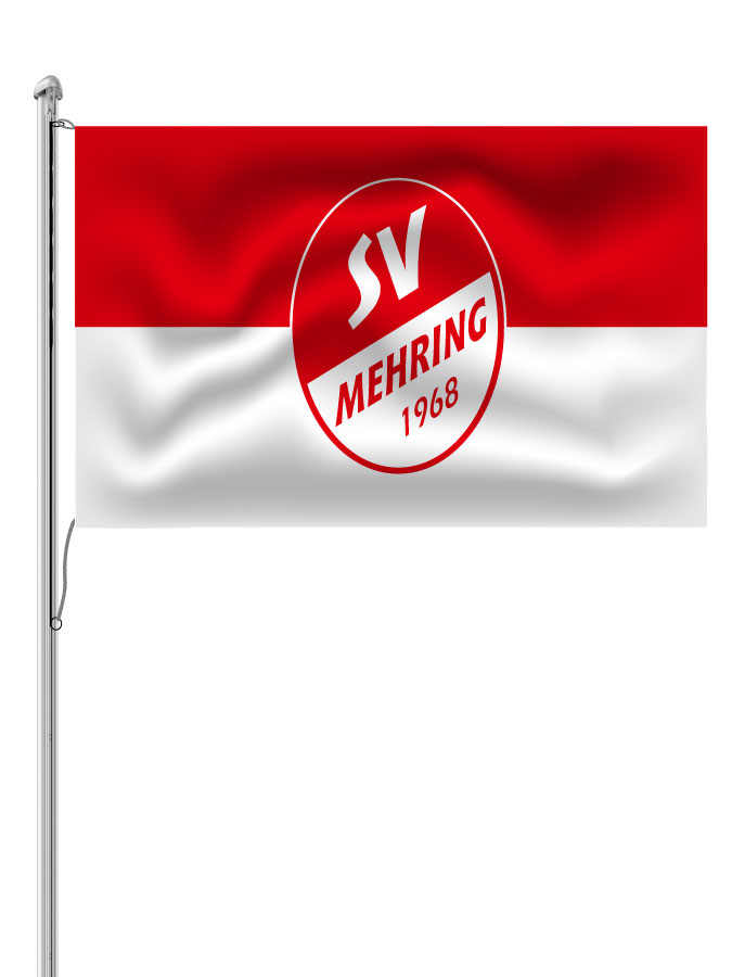 Hissfahne Logo