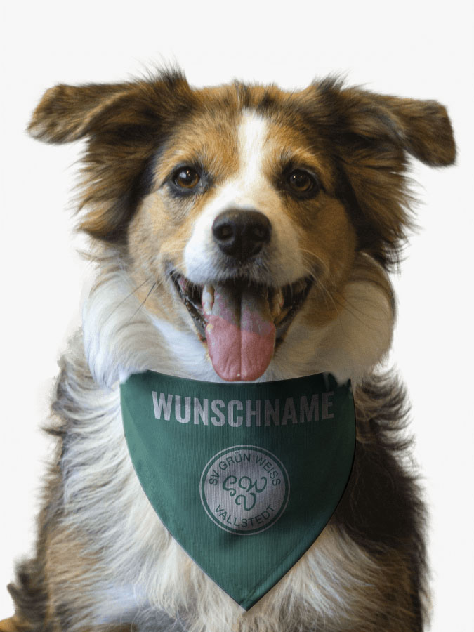 Hundehalstuch