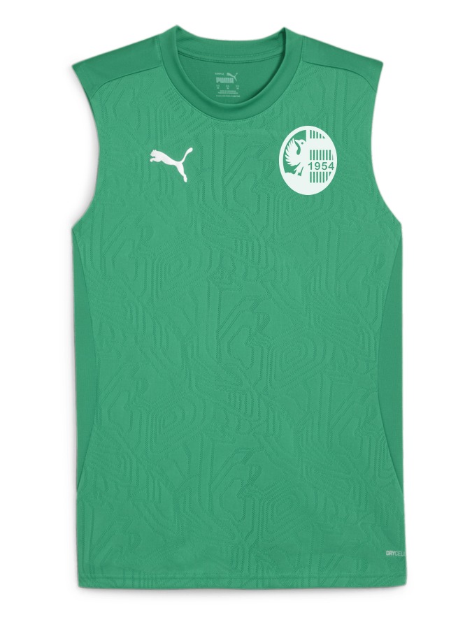 PUMA teamFINAL Trainingstanktop