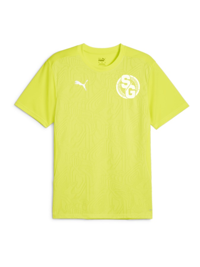 PUMA teamFINAL Trainingsshirt