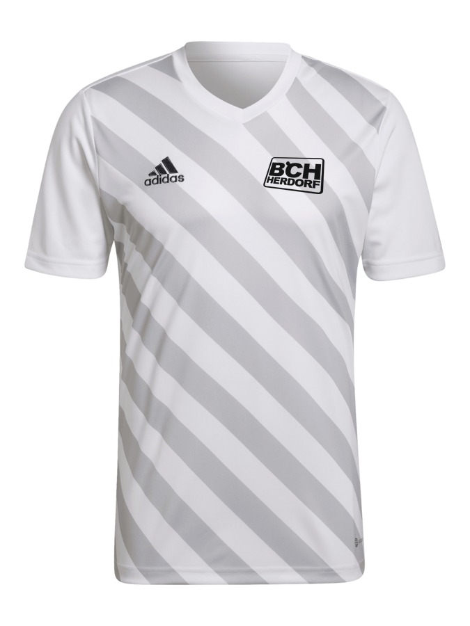 adidas Entrada 22 GFX Trikot