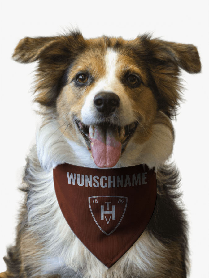 Hundehalstuch