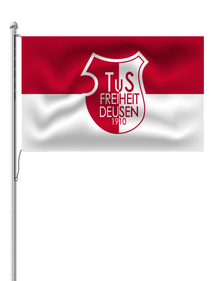 Hissfahne Logo