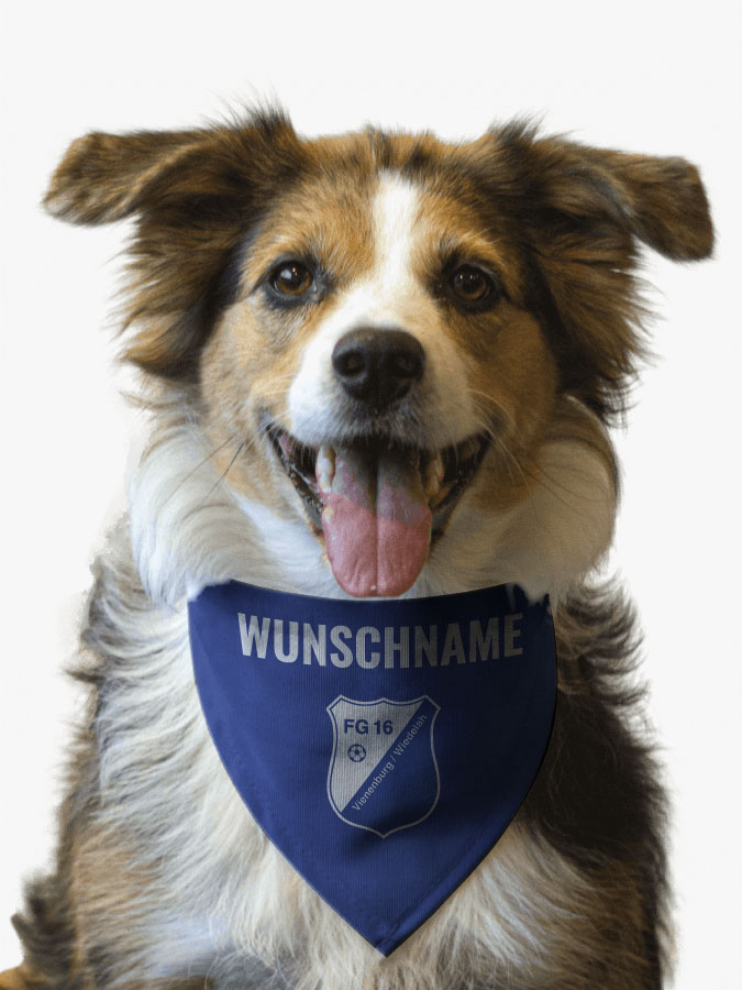 Hundehalstuch