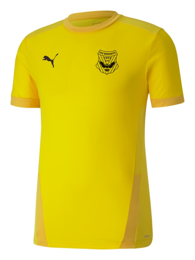 PUMA teamGOAL 23 Trikot