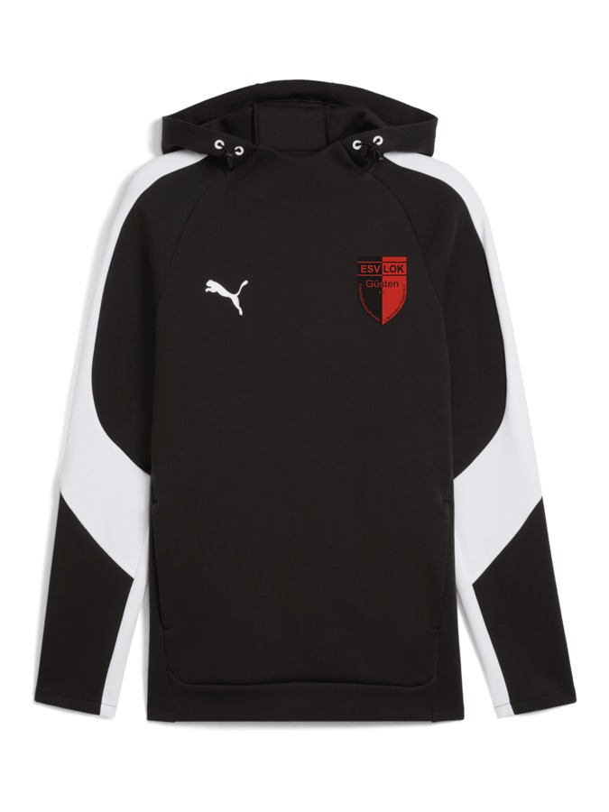 PUMA teamEVOSTRIPE Hoody