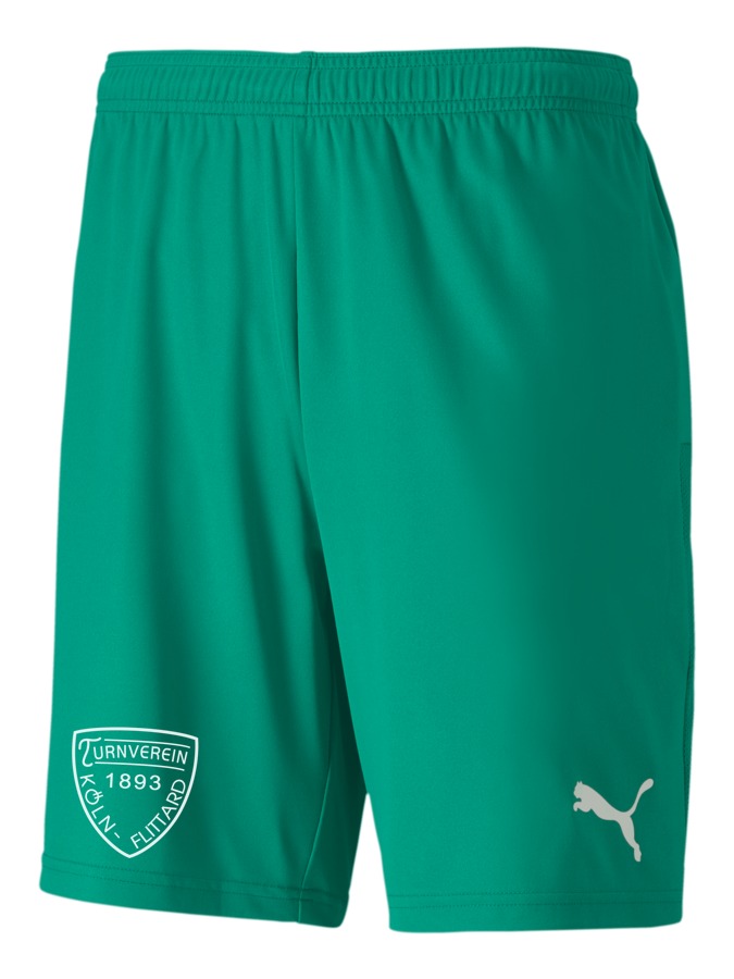 PUMA teamGOAL 23 Knit Shorts