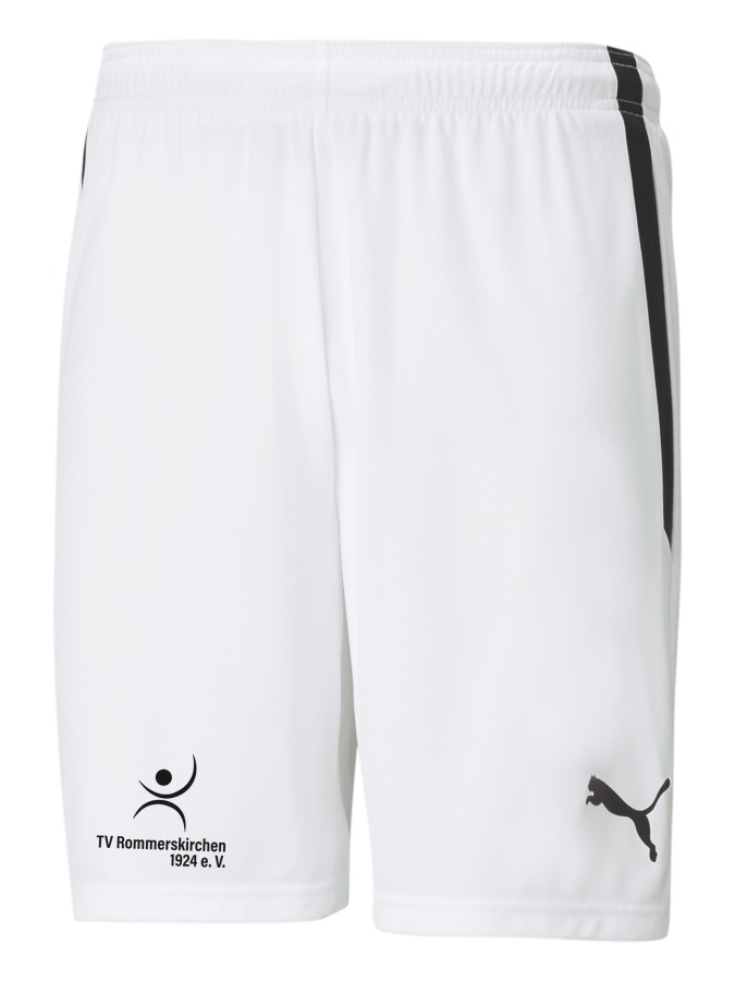 PUMA teamLIGA Shorts