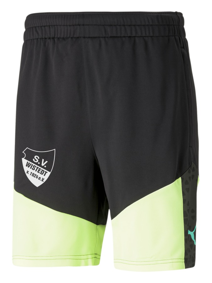 PUMA individualCUP Training Shorts