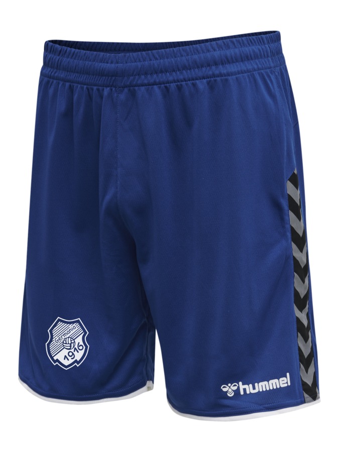 Hummel Authentic Trainingsshorts