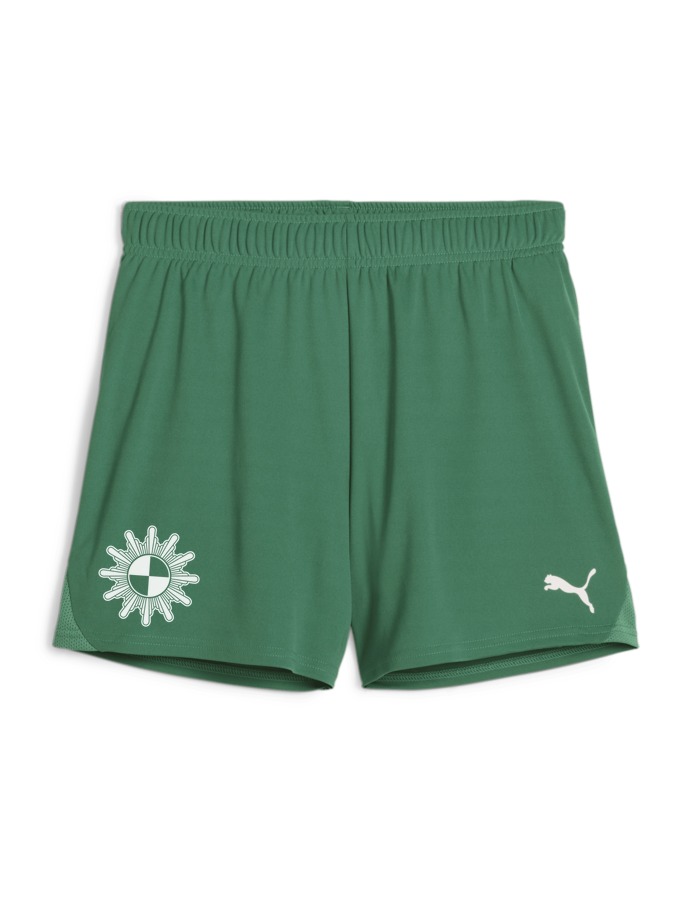 PUMA teamGOAL Handballshorts Damen