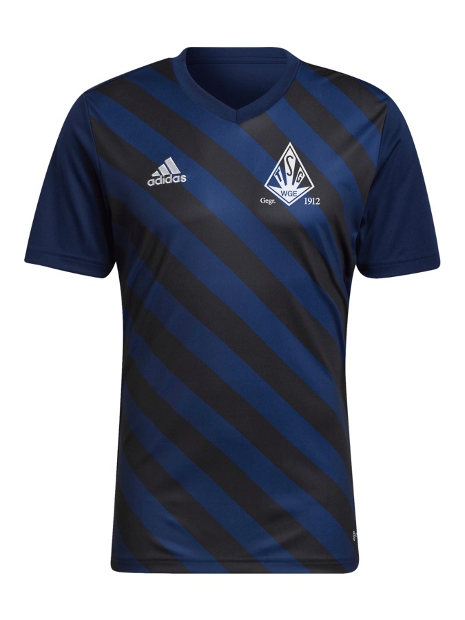 adidas Entrada 22 GFX Trikot