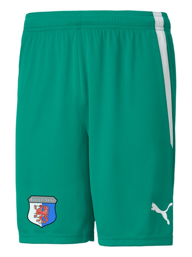 PUMA teamLIGA Shorts