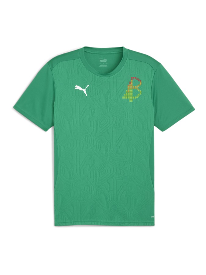 PUMA teamFINAL Trainingsshirt
