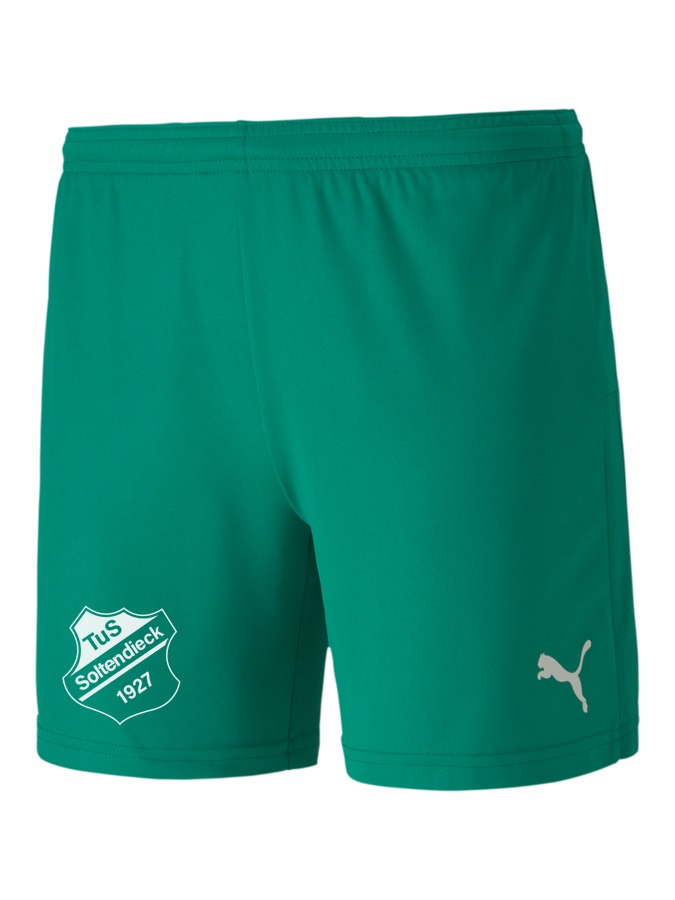 PUMA teamGOAL 23 Knit Shorts Damen