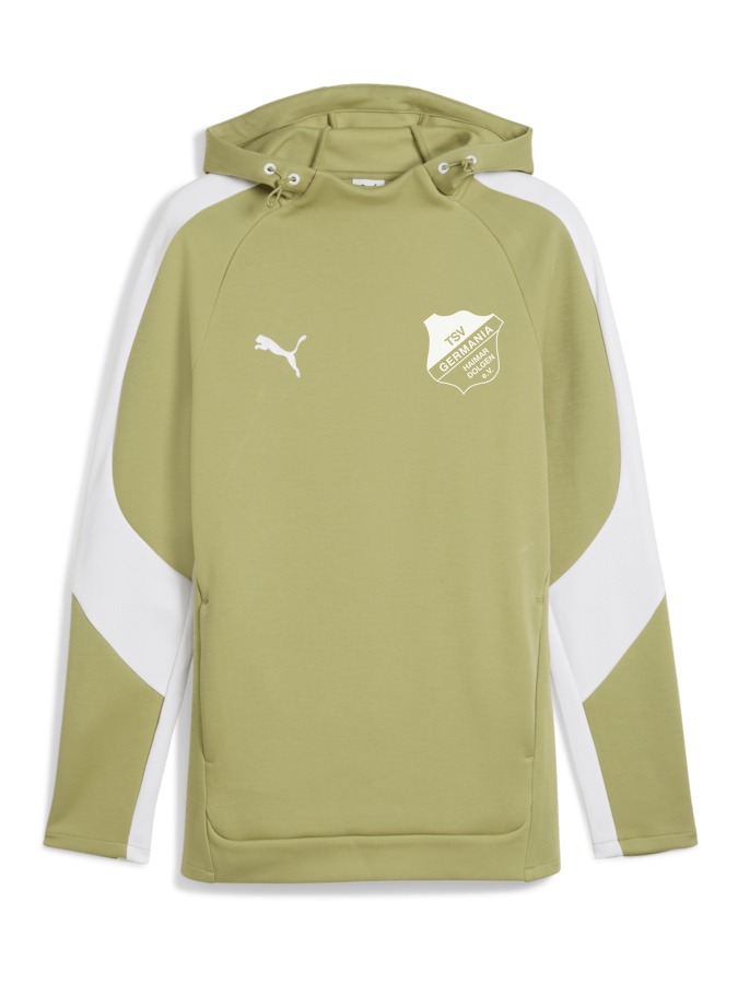 PUMA teamEVOSTRIPE Hoody