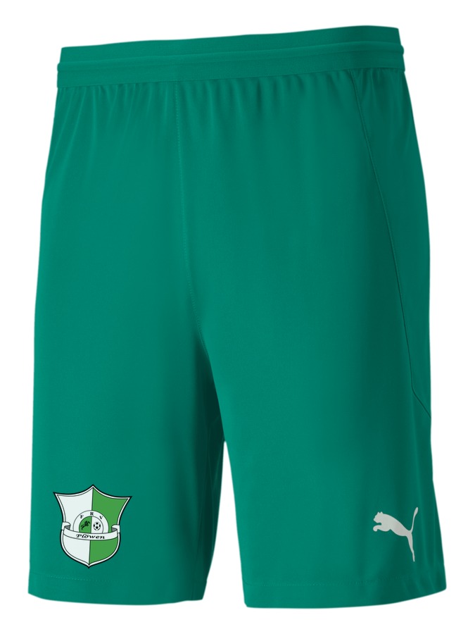 PUMA teamFINAL 21 Knit Shorts
