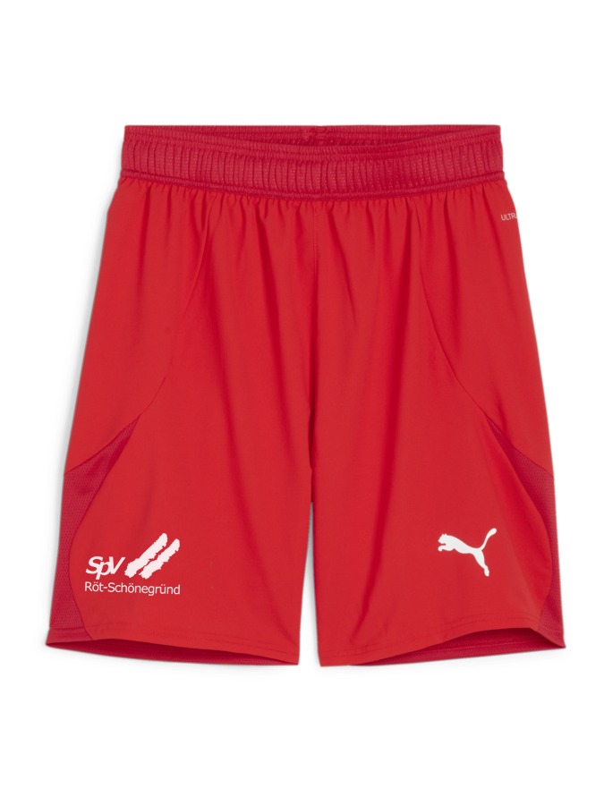 PUMA teamFINAL Shorts