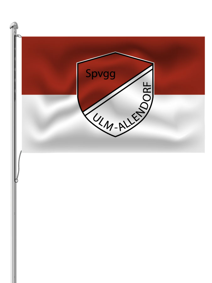 Hissfahne Logo
