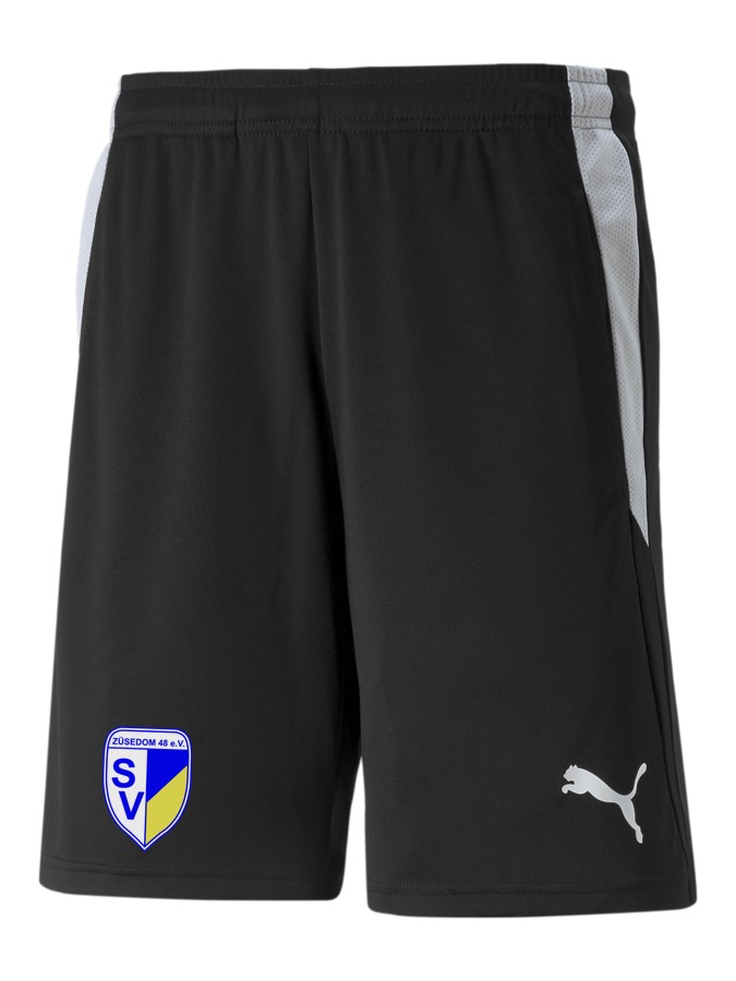 PUMA teamLIGA Referee Shorts