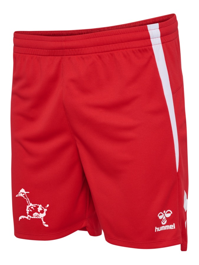 Hummel Lead 2.0 Shorts