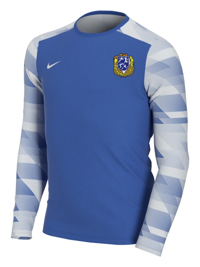 Nike Park IV Torwarttrikot Langarm Kinder