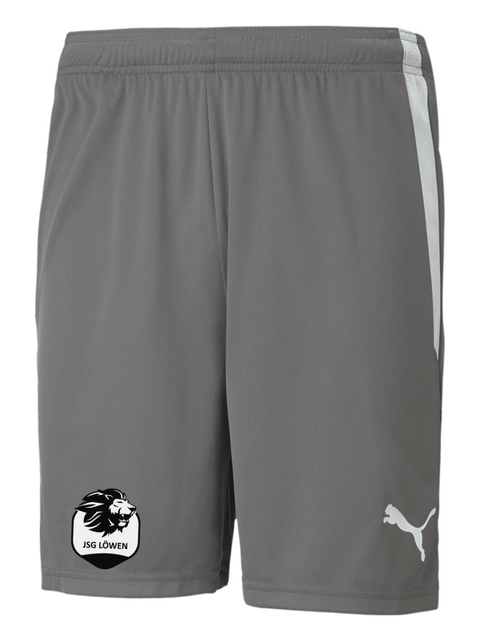 PUMA teamLIGA Shorts