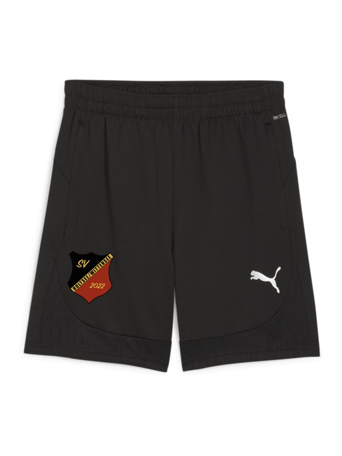 PUMA teamFINAL Training Shorts