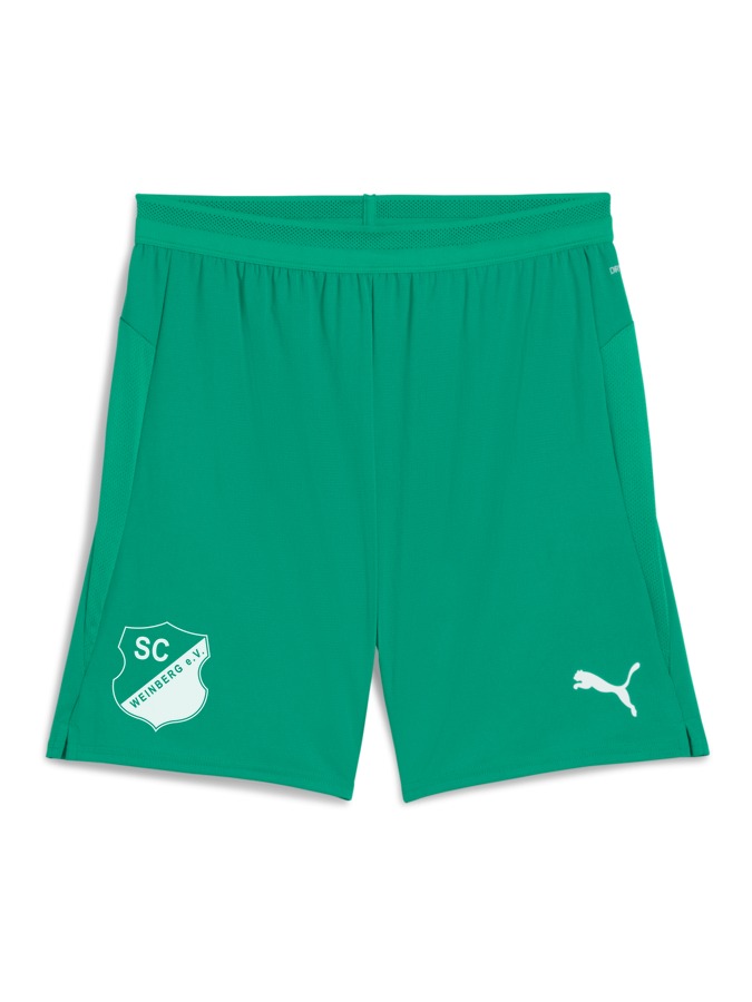 PUMA teamCUP Shorts