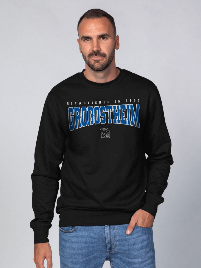 Sweater Retro Herren