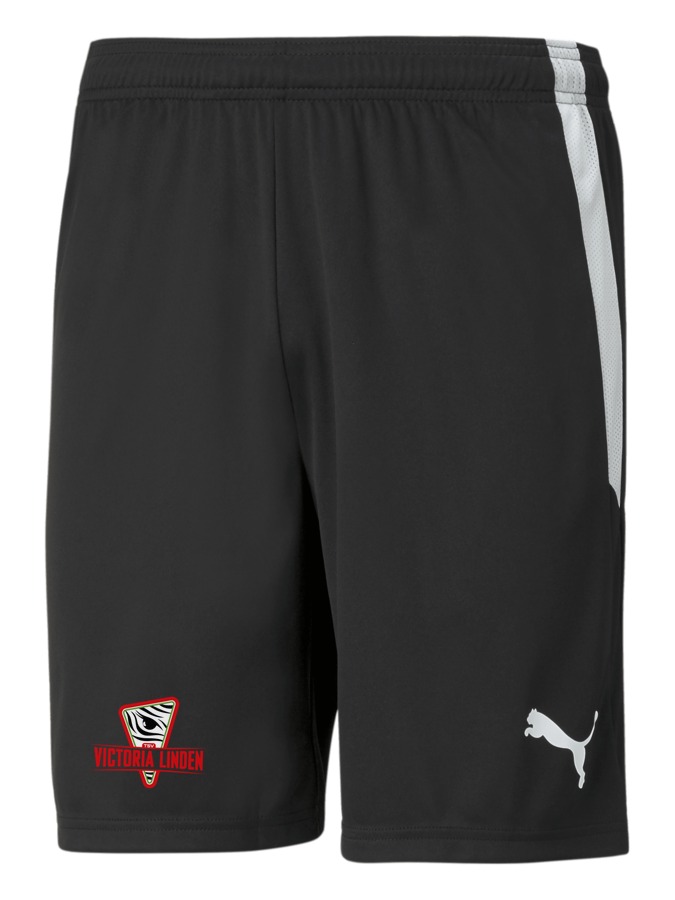 PUMA teamLIGA Shorts