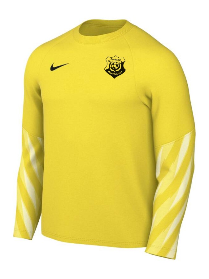 Nike Dri-FIT Park V Torwart Trikot Langarm
