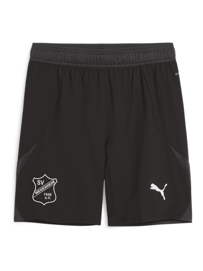 PUMA teamFINAL Shorts