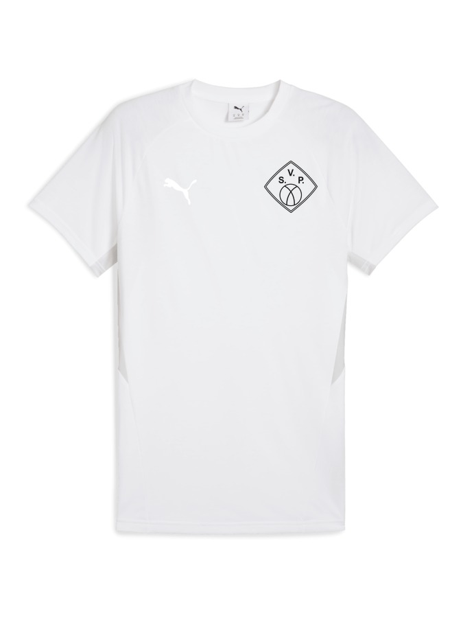 PUMA teamEVOSTRIPE T-Shirt