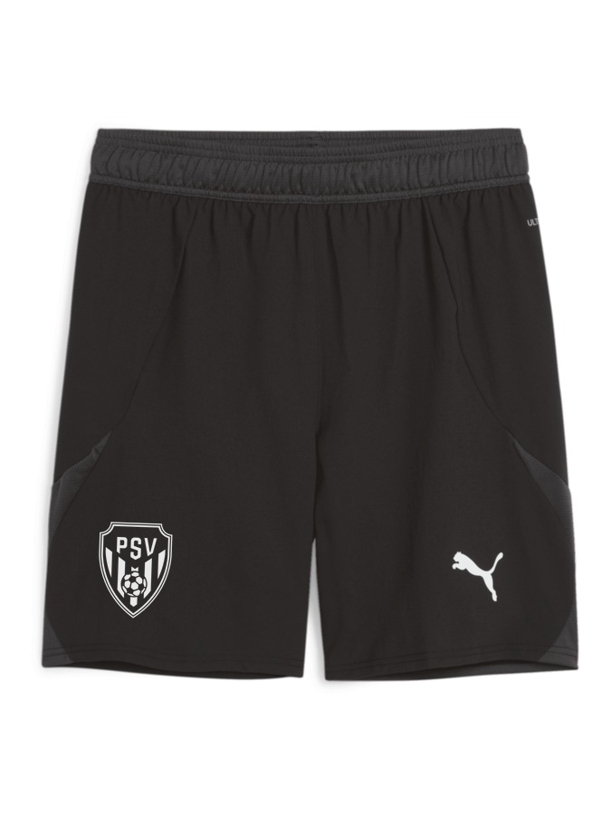 PUMA teamFINAL Shorts