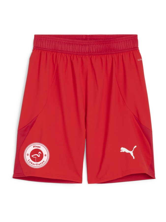 PUMA teamFINAL Shorts