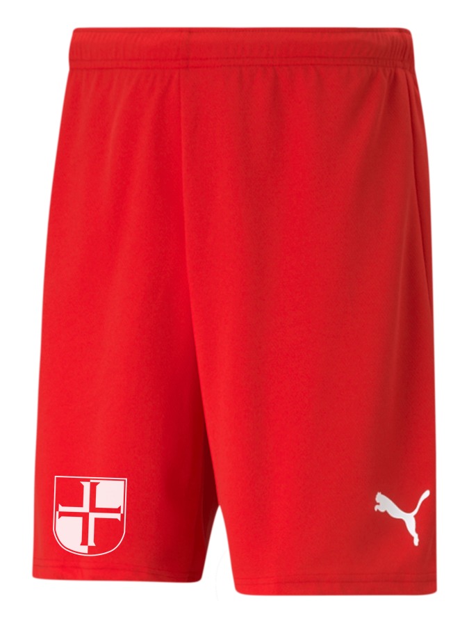 PUMA teamRISE Short