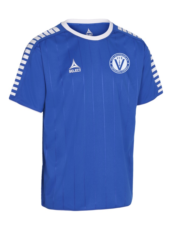 Select Argentina Trikot