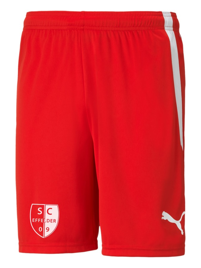 PUMA teamLIGA Shorts