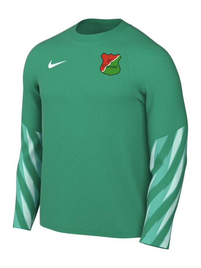 Nike Dri-FIT Park V Torwart Trikot Langarm